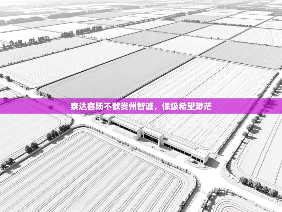 泰达客场不敌贵州智诚，保级希望渺茫  第1张